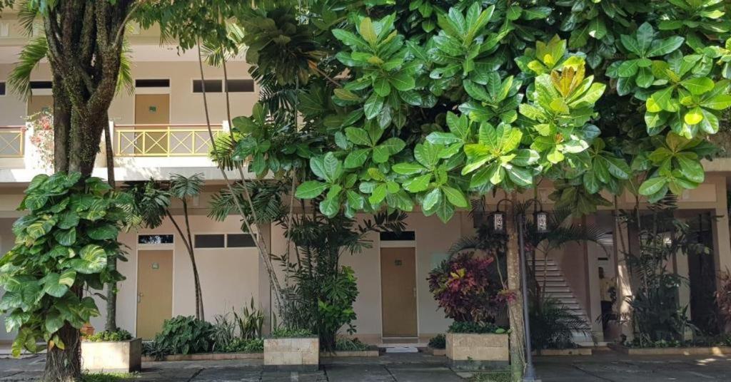 Hotel Sulawesi Jember Luaran gambar
