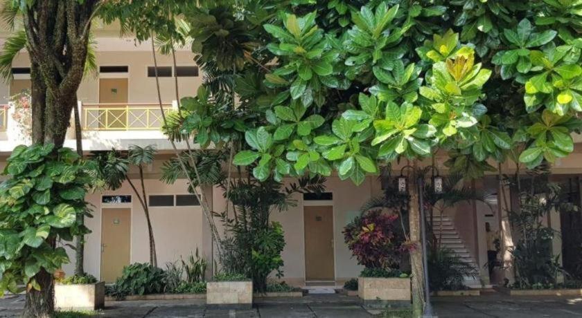 Hotel Sulawesi Jember Luaran gambar